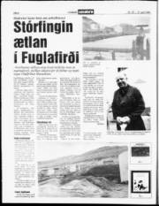 Síða 6