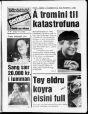 Síða 1