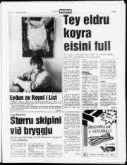 Síða 5