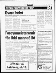 Síða 14