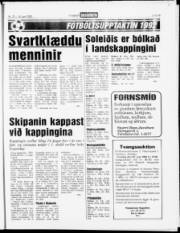 Síða 15