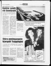 Síða 17