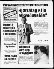 Síða 1