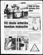 Síða 8