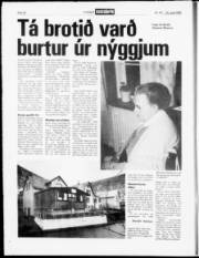 Síða 20