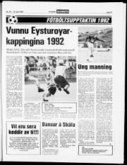 Síða 27