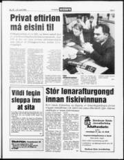 Síða 3