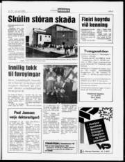 Síða 5