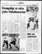 Síða 15