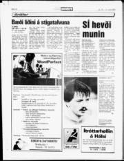 Síða 16