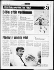 Síða 17