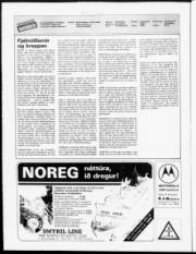 Síða 2