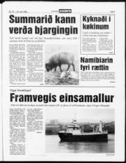 Síða 3