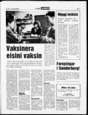 Síða 7