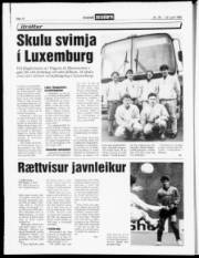 Síða 12