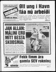Síða 1