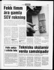 Síða 3