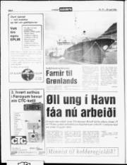 Síða 6
