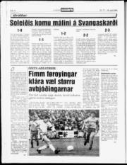 Síða 14