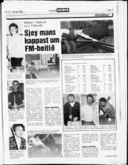 Síða 17