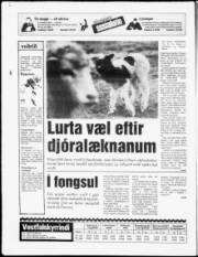 Síða 20
