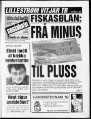 Síða 1