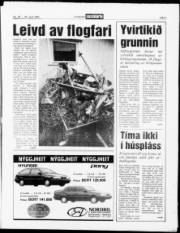 Síða 3