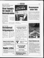 Síða 3