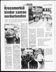 Síða 6