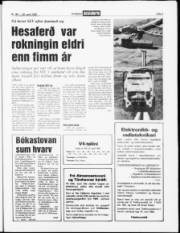 Síða 3