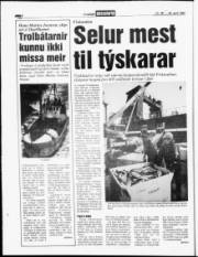Síða 4