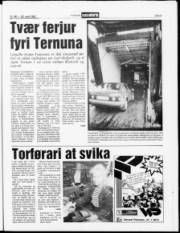 Síða 5