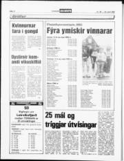 Síða 12