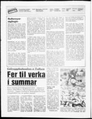 Síða 2