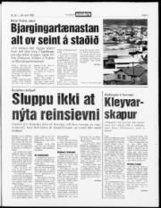 Síða 3