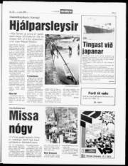 Síða 5