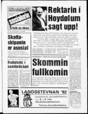 Síða 1