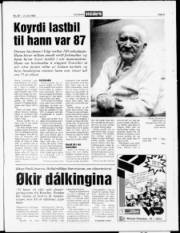 Síða 5