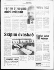Síða 6