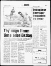 Síða 7
