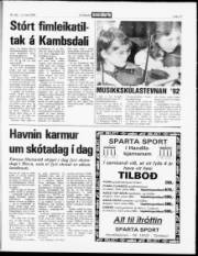 Síða 17