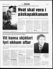 Síða 3