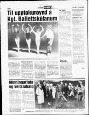 Síða 6