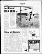 Síða 14