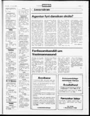 Síða 17