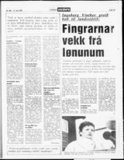 Síða 19