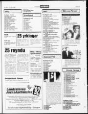 Síða 23