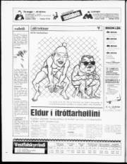 Síða 24