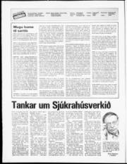 Síða 2