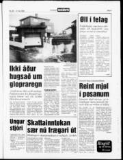 Síða 3